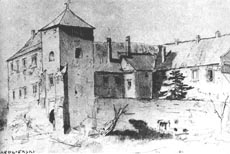 Zamek w Szydowcu